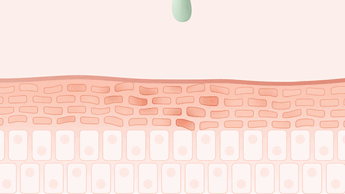 Animated illustration of skincare formula improving skin texture by filling uneven areas on the skin’s surface.