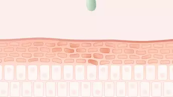 Animated illustration of skincare formula improving skin texture by filling uneven areas on the skin’s surface.