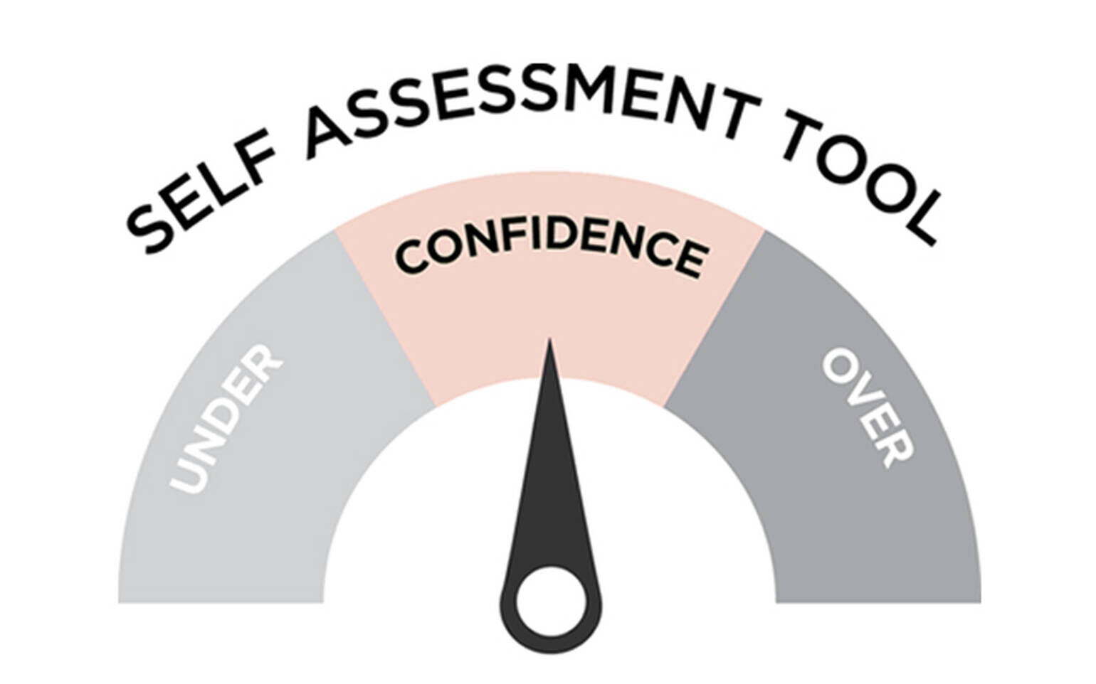 self assessment tool